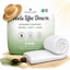 3 Tog