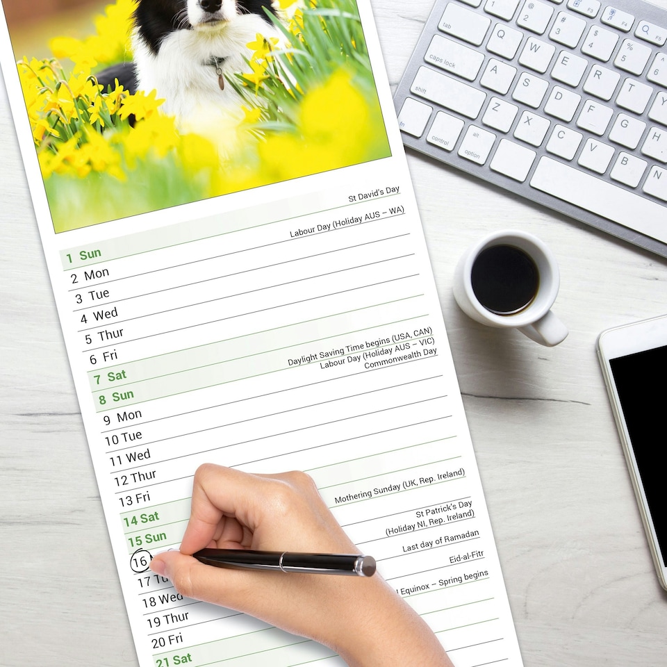 image 1 of Border Collie Slim 2026 Calendar | Slimline Wall Calendar | Dog Breed Gift | Plastic Free Packaging | by Avonside Publishing [Calendar] Avonside Publishing Ltd