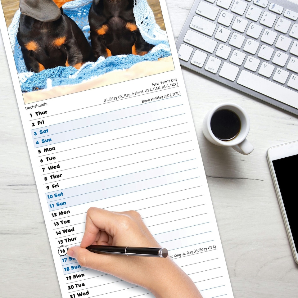 image 1 of Puppies Slim 2026 Calendar | Slimline Wall Calendar | Dog Breed Gift | Plastic Free Packaging | by Avonside Publishing [Calendar] Avonside Publishing Ltd