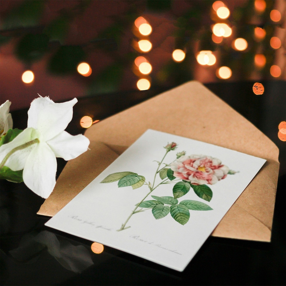 image 1 of Pierre-Joseph Redouté Art Card Rosa Gallica Giant Rose Vintage Floral