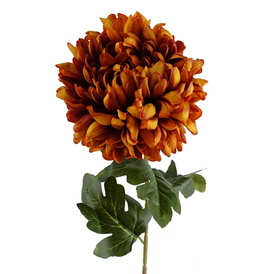 image 1 of Pack of 6 x 75cm Extra Large Reflex Chrysanthemum - Orange