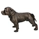 image 4 of Pit Bull Terrier Dog Cast Iron Statue Figure Trophy Ornament Sculpture Staffy
