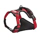 image 9 of Bunty Adventure Harness Pink | XL