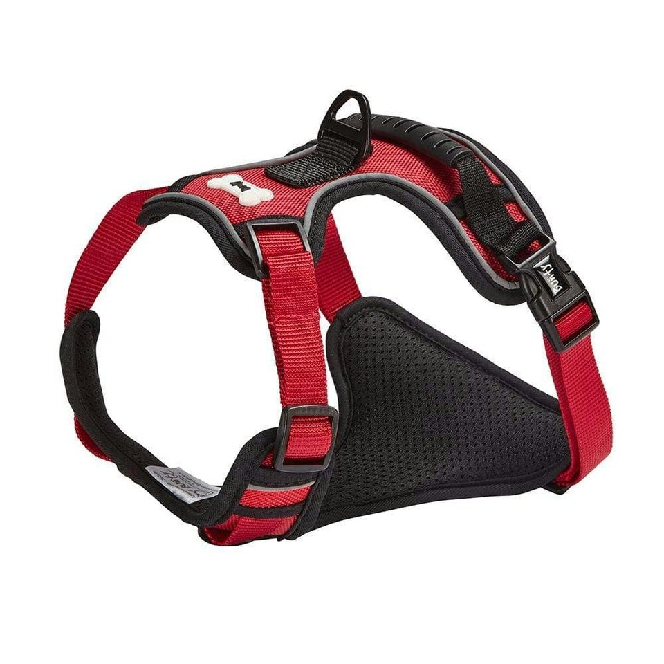 image 1 of Bunty Adventure Harness Pink | XL