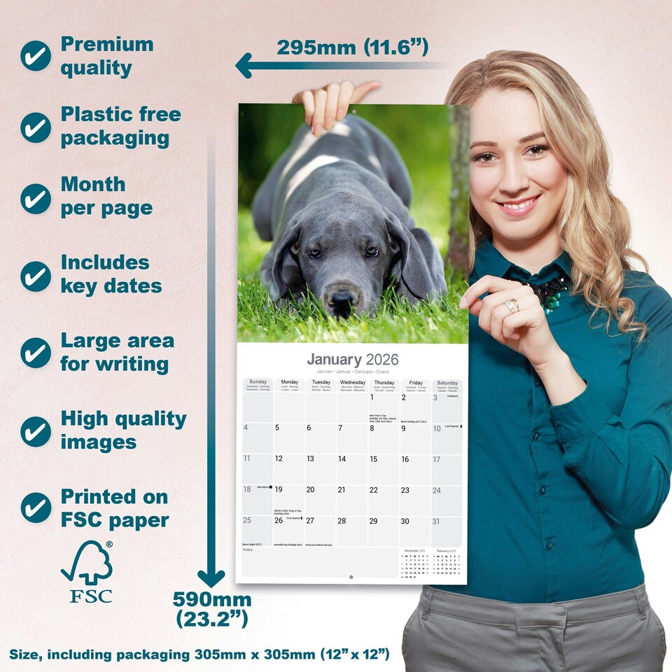 image 1 of Great Dane 2026 Calendar | Square Wall Calendar | Dog Breed Gift | Plastic Free Packaging | by Avonside Publishing
