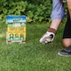 image 4 of Aftercut Westland Triple Care Lawn Feed  Rapid Greening, Moss & Weed Control, Small Granules | Brown | 1 x 350sqm Bag
