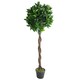 image 1 of 120cm (4ft) Twist Natural Trunk Artificial Topiary Bay Laurel Ball Tree | Green | 4ft