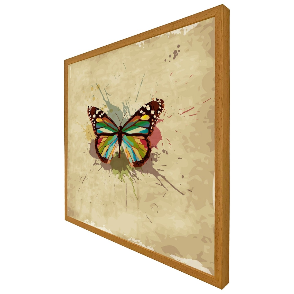 image 1 of Butterfly & paint splats (Picutre Frame) Grey | XS