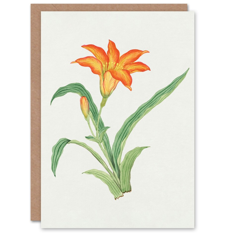 image 1 of Vintage Japanese Botanical Art Card Orange Lily Flower
