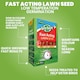 image 2 of Gro-Sure Fast Acting Lawn Seed 80 Square Meter Quick Growing Hard Wearing Grass Ideal for Bare Patches & Overseeding | Brown