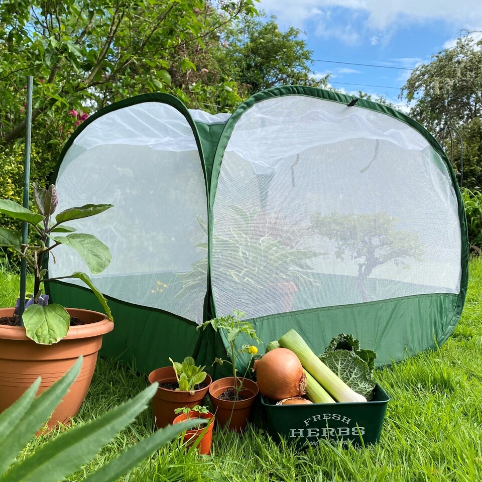 image 1 of GardenSkill Pop Up Insect Net Fruit Cage & Vegetable Protection Cover -  1 x 0.75m H