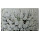 image 1 of Beautifully White (Kitchen Towel)