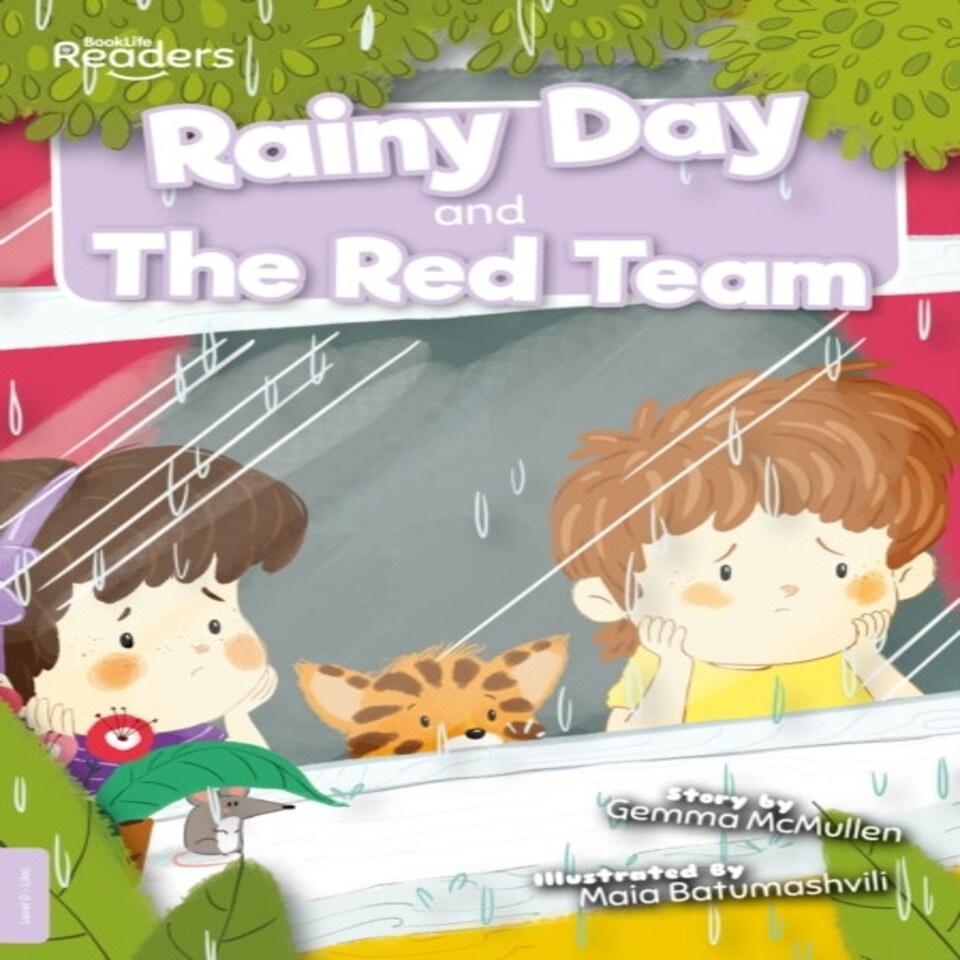 Rainy Day & The Red Team