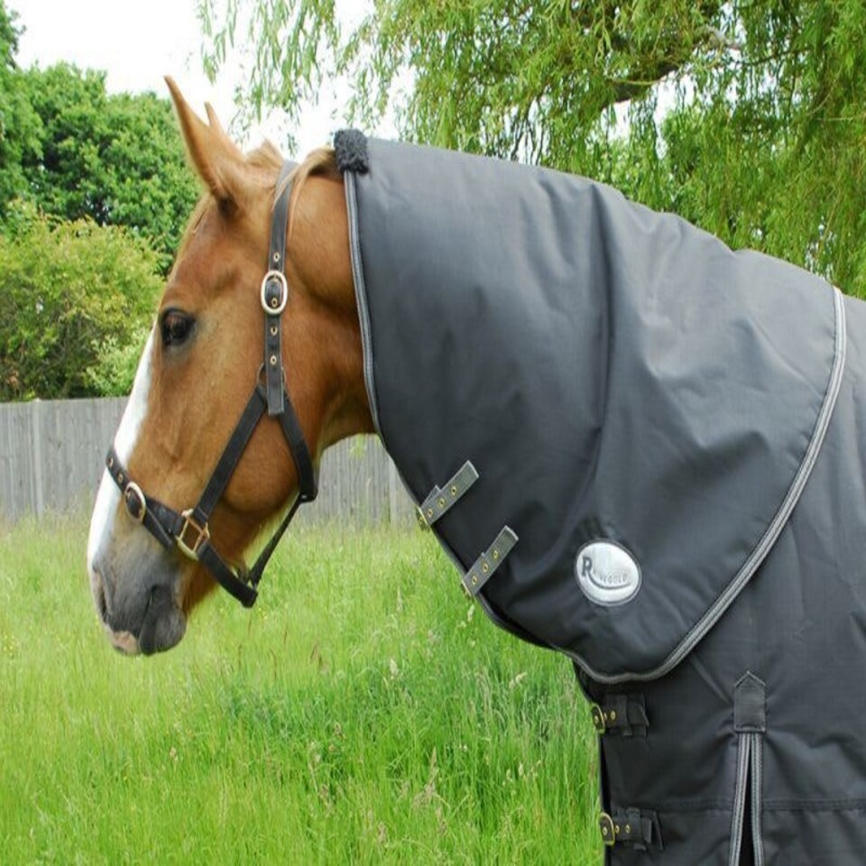 image 1 of Rhinegold Konig Neck Cover Black | Size: Large
Colour: Black