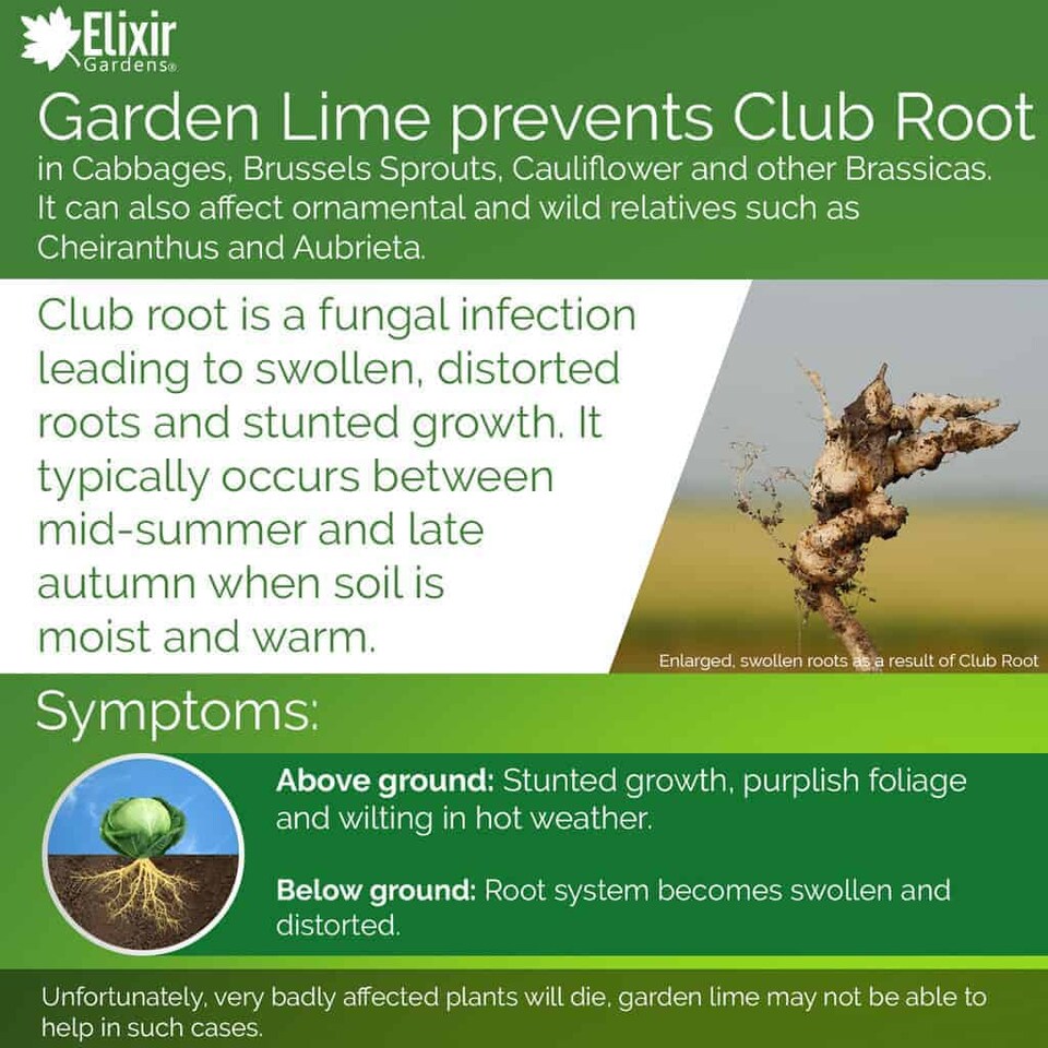 image 1 of Elixir Gardens Garden Lime Granular Limestone Calcium Magnesium Soil Conditioner x3kg Tub