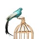 image 3 of Large Decorative Blue Paradise Bird With Clip - 35cm