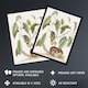 image 2 of Ground Squirrel and Wild Nutmeg Mark Catesby Huge Wall Art Print 18X24 In