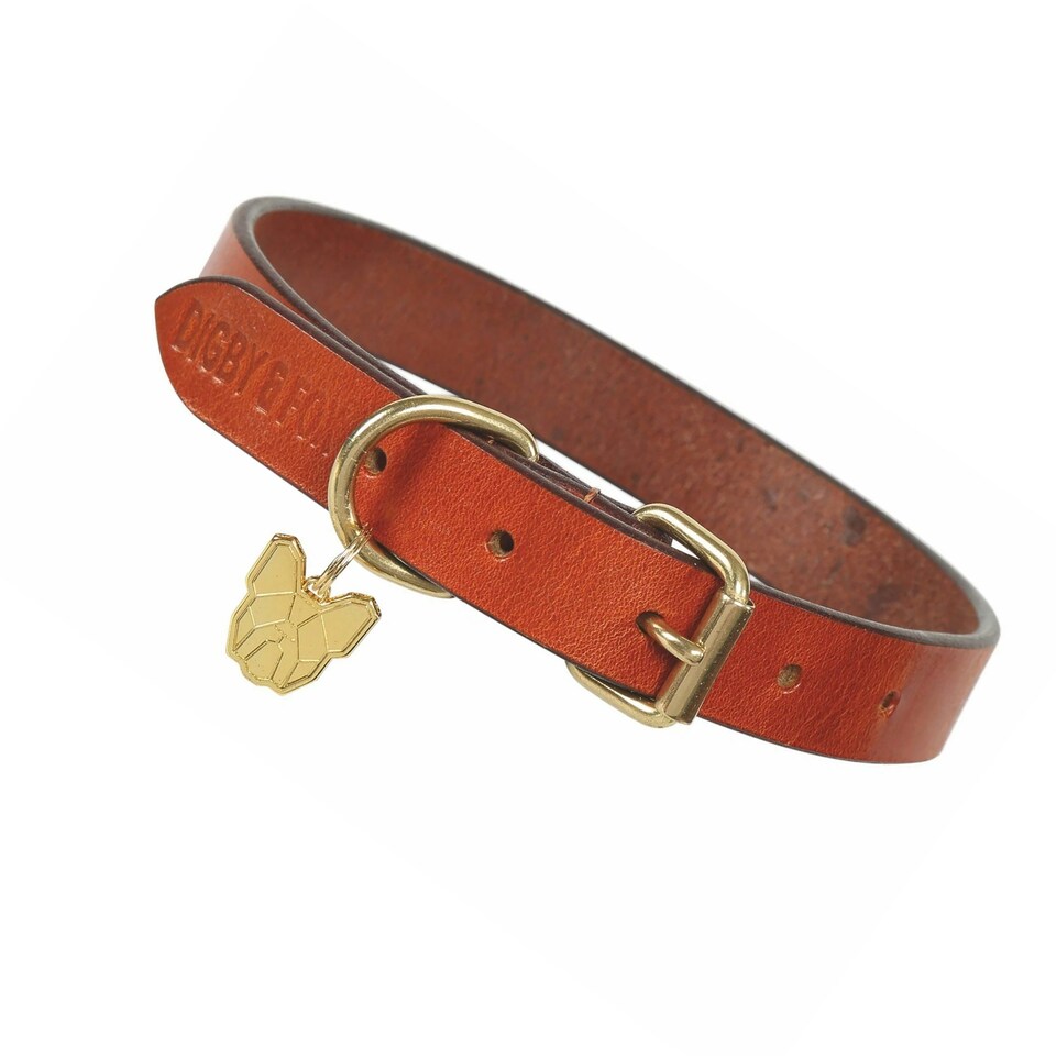 image 1 of Digby & Fox Flat Leather Dog Collar - Tan - M - Neckline: 15in-18in