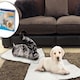 image 3 of Self Heating Dog Cat Pet Bed Thermal Washable No Electric Blanket Required N/A | One Size