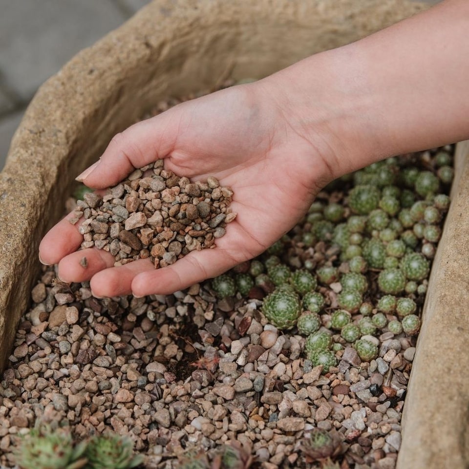 image 1 of Westland Potting Grit For Compost Mixing or Pot Topping - 20Kg