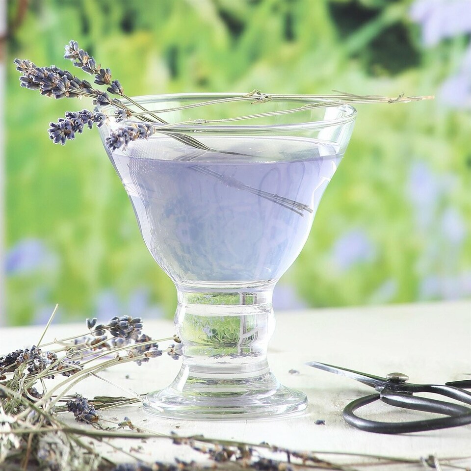 image 1 of LAV Orion Glass Ice Cream Bowls - 255ml - Pack of 6 | Clear | Clear
