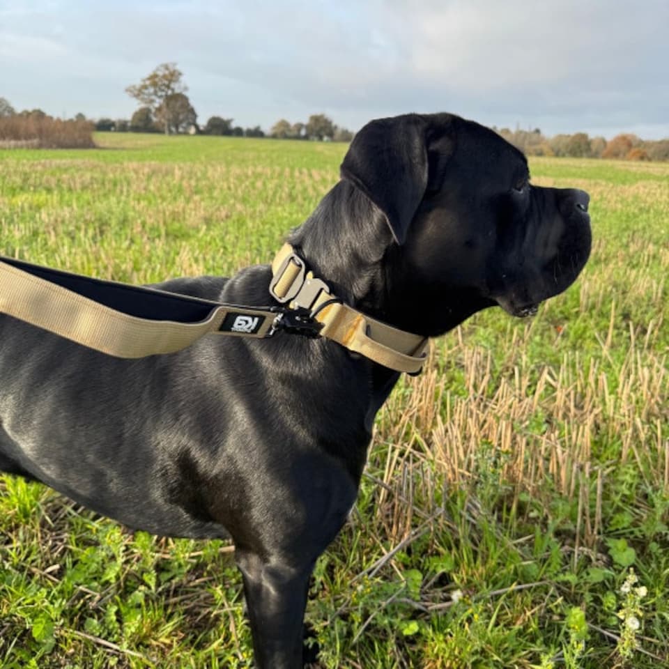image 1 of HugglePets Tactical K9 Endurance Dog Lead N/A