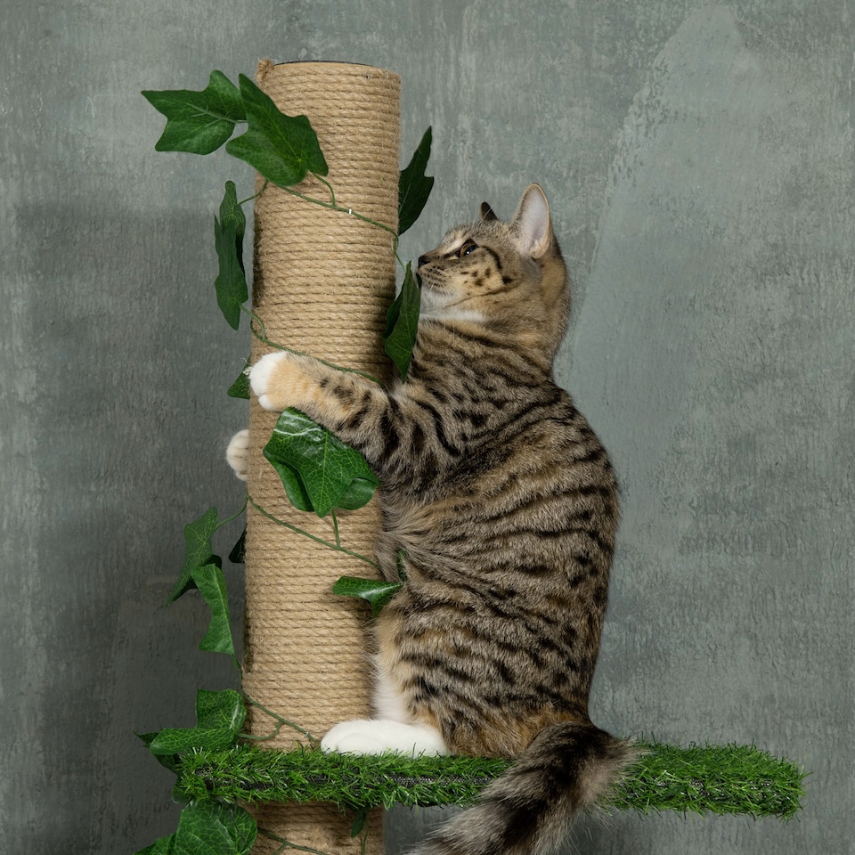 image 1 of PawHut 242cm Floor to Ceiling Cat Tree with Leaves Scratching Post, Green