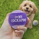 image 2 of Pre-Personalised Dog Balls Gift Pack 2pcs Purple I Love My Cockapoo