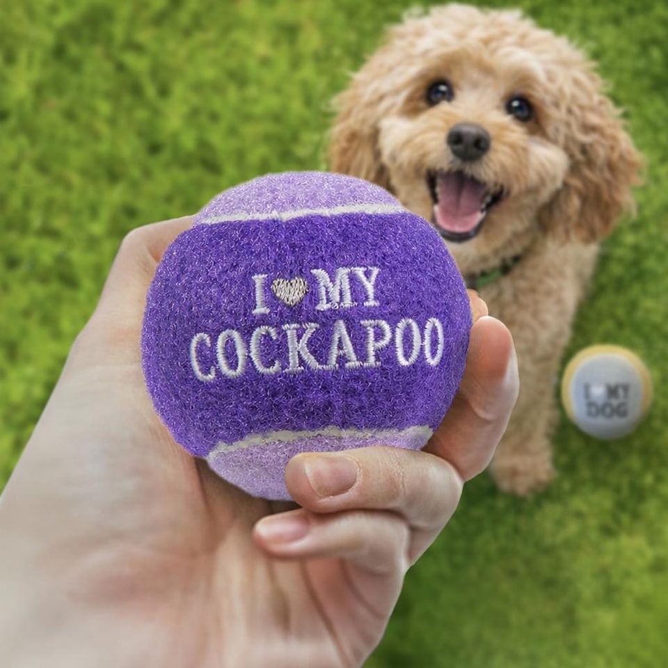 image 1 of Pre-Personalised Dog Balls Gift Pack 2pcs Purple I Love My Cockapoo