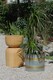 image 2 of Galvin Collection Plant Pot - 29 cm (H) x 25 cm (Dia)