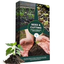 40 Litres (2x 20 Litres) Cutting & Planting Seed Sowing Compost Ideal For Potting Or Re-Potting