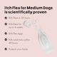 image 4 of Itch Flea Small Dog Flea & Tick Spot On Treatment 4 Pipette (2-10kg)