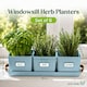 image 2 of Set of 6 Blue Indoor Herb Pots with Tray