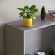 image 5 of Vida Designs Cambridge 3 Tier Medium Bookcase Display Storage, Grey