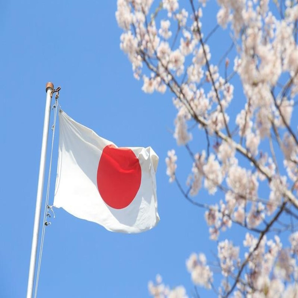 image 1 of Japan Flag 5x3ft With Eyelets Multi