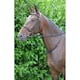 image 3 of Hy Leather Neck Strap - Brown - 40 x 3/4in