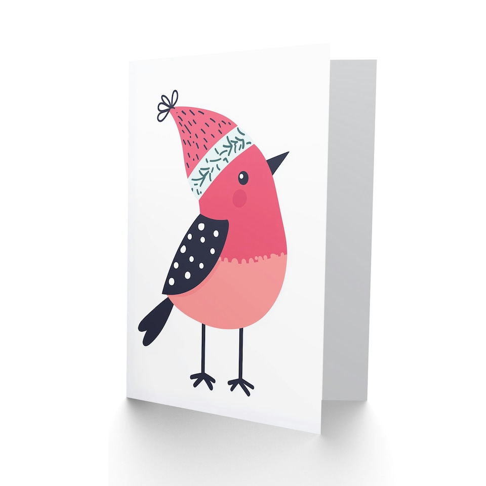 image 1 of Robin Bird With Winter Hat Pink Blue Modern Blank For Him Or Her Art Christmas Card
