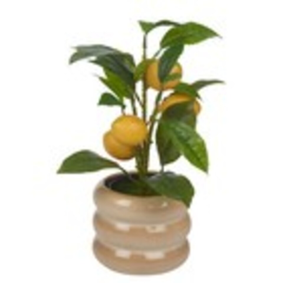 image 1 of Artificial Citrus Lemon Fruit Tree Flower Pot | Cream | Beige gloss | 1