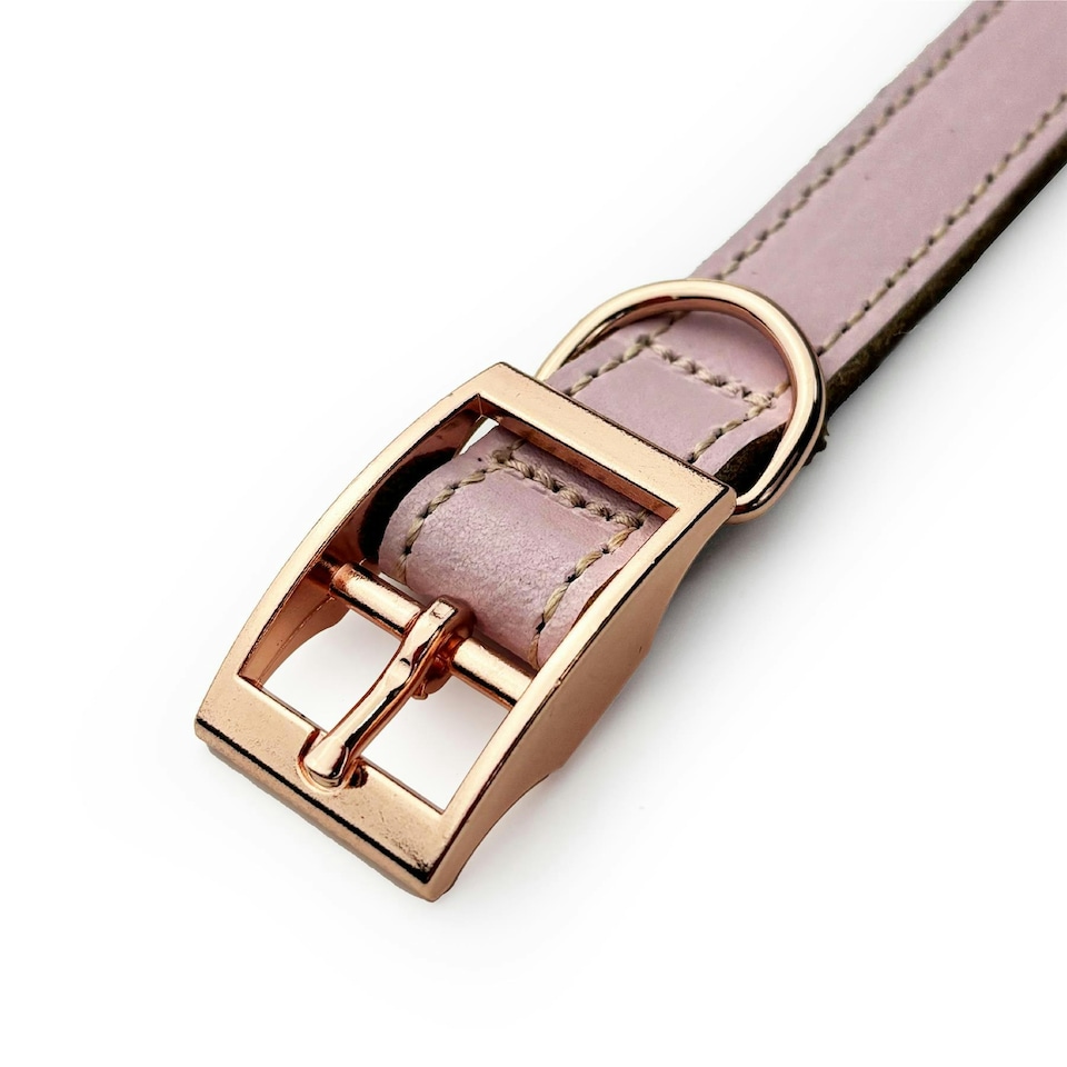 image 1 of Skye & Murphy Luxury Padded Leather Dog Collar | Pink | L