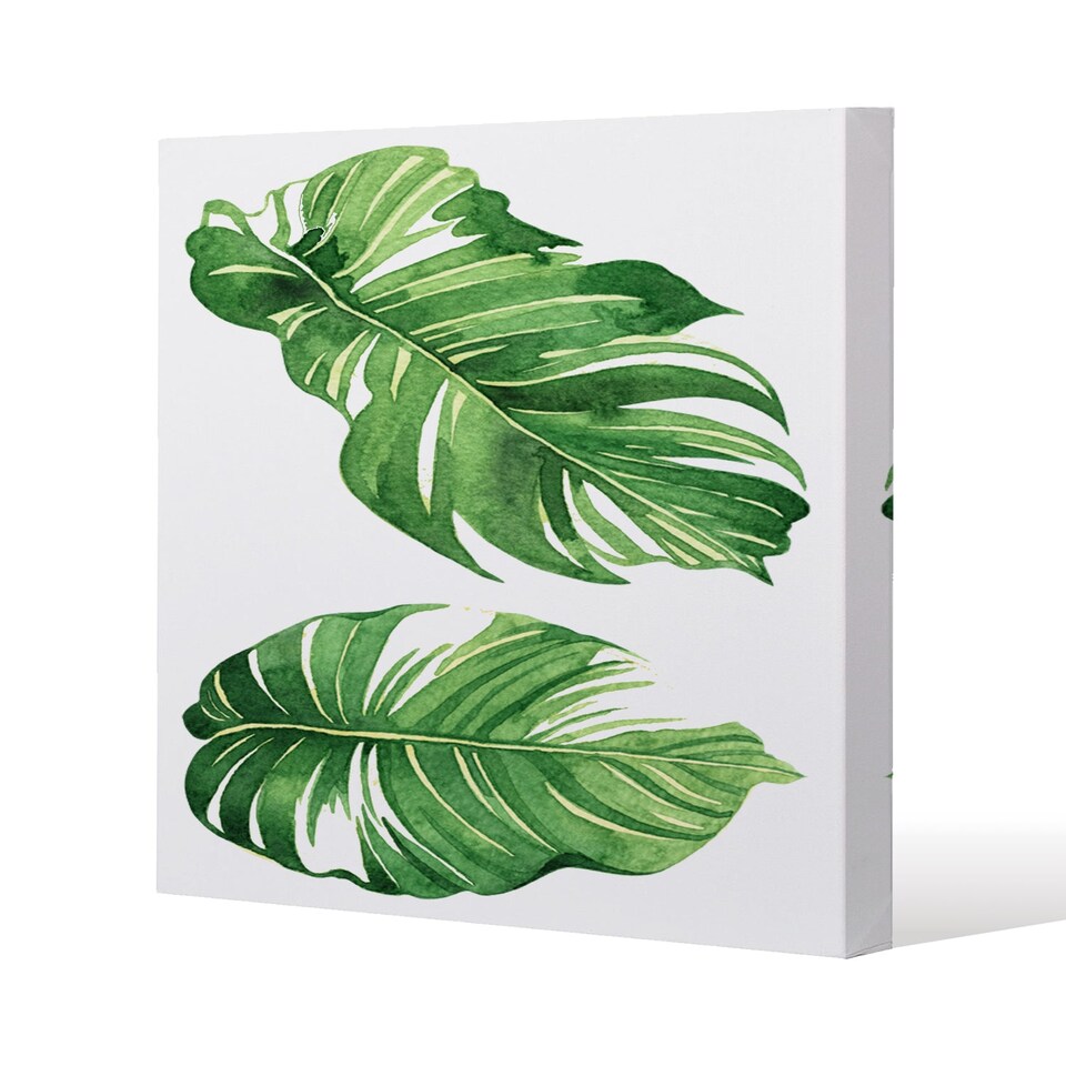 Twin Botanical Leaves (Canvas Print) / 90 x 90 x 4cm | Multi
