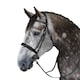 image 3 of Whitaker Madrid Leather Horse Snaffle Bridle | Black | Black | Cob | 1