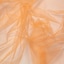 Tangerine Blush