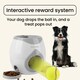 image 3 of FetchMate (Automatic Pet Fetch & Treat Dispenser)