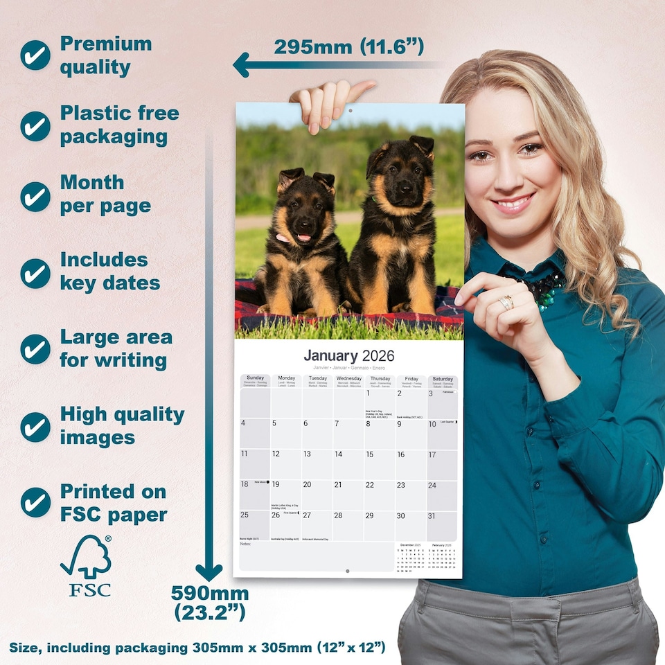 image 1 of German Shepherd 2026 Calendar | Square Wall Calendar | Dog Breed Gift | Plastic Free Packaging | by Avonside Publishing