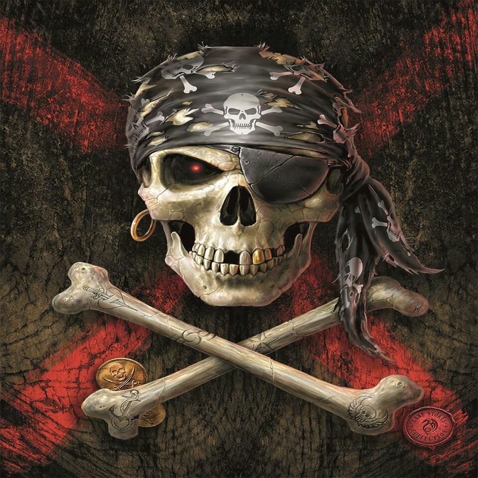 Anne Stokes (Pirate Skull) 60x80x4cm Stretched Canvas Print