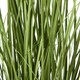 image 4 of Hill Interiors Agapanthus Plant Pot - White/Green - One Size