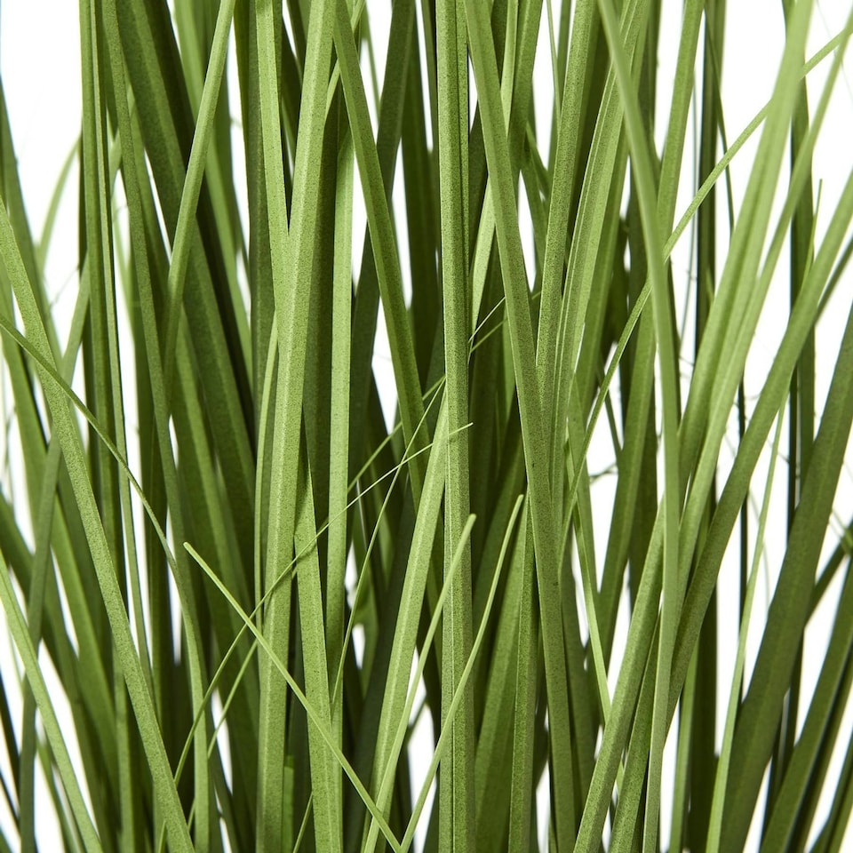 image 1 of Hill Interiors Agapanthus Plant Pot - White/Green - One Size