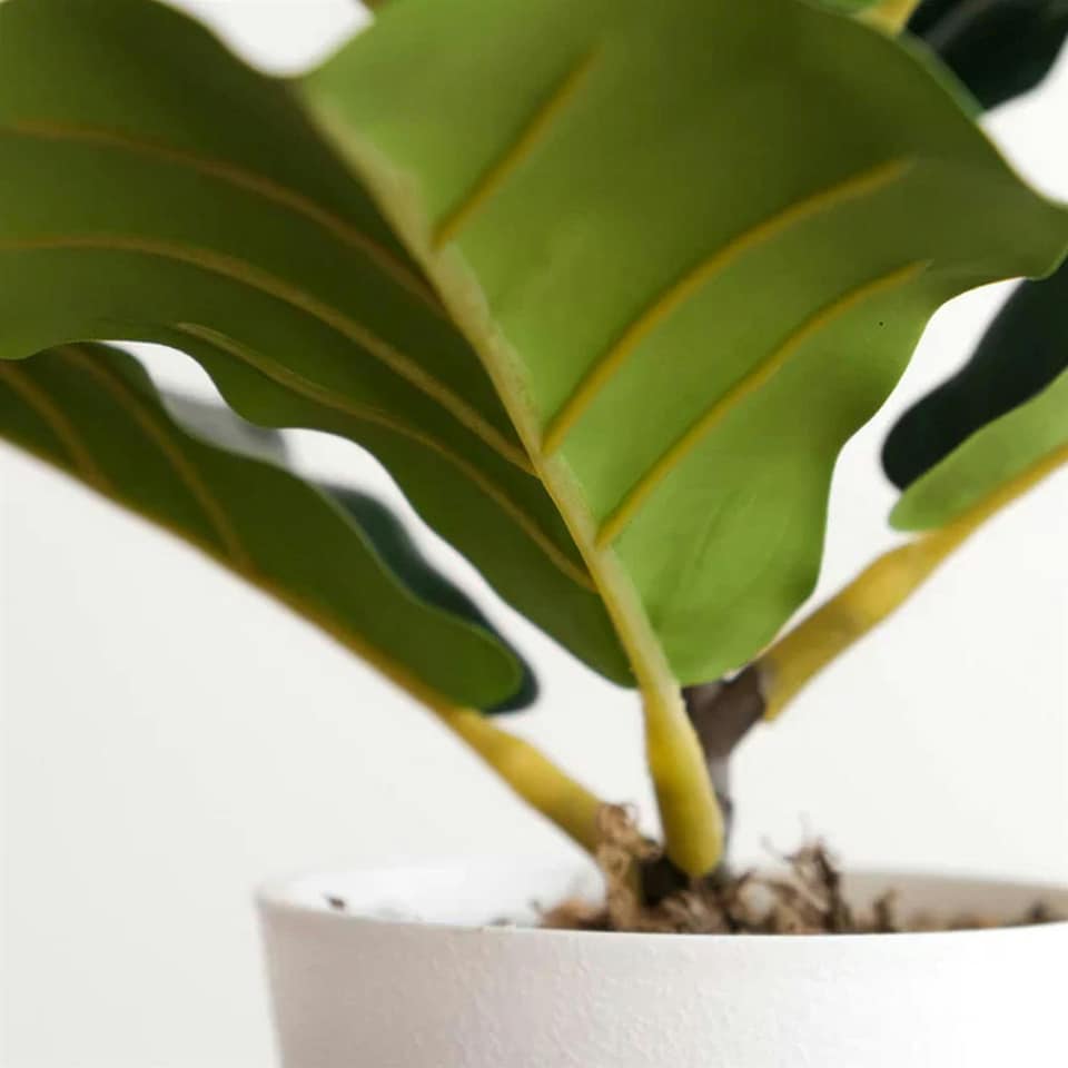image 1 of 38cm Potted Artificial Fiddle Fig Plant