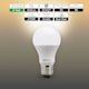 image 2 of BELL Lighting E27 Edison Screw LED GLS 8.1W LED Bulbs Warm White 2700K