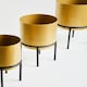image 4 of Avento Set Of Three Gold Finish Planters Gold